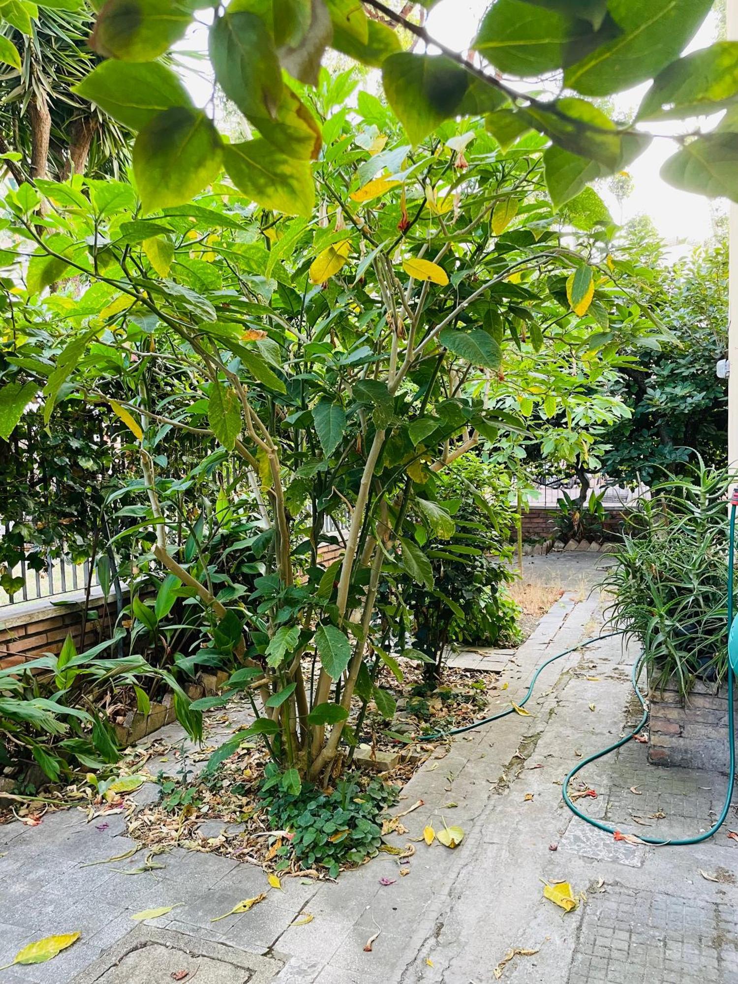 Appartamento Baz-house San Paolo Roma